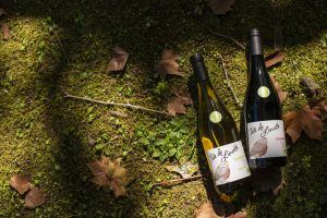 Tête de Linotte vins bio de Loire