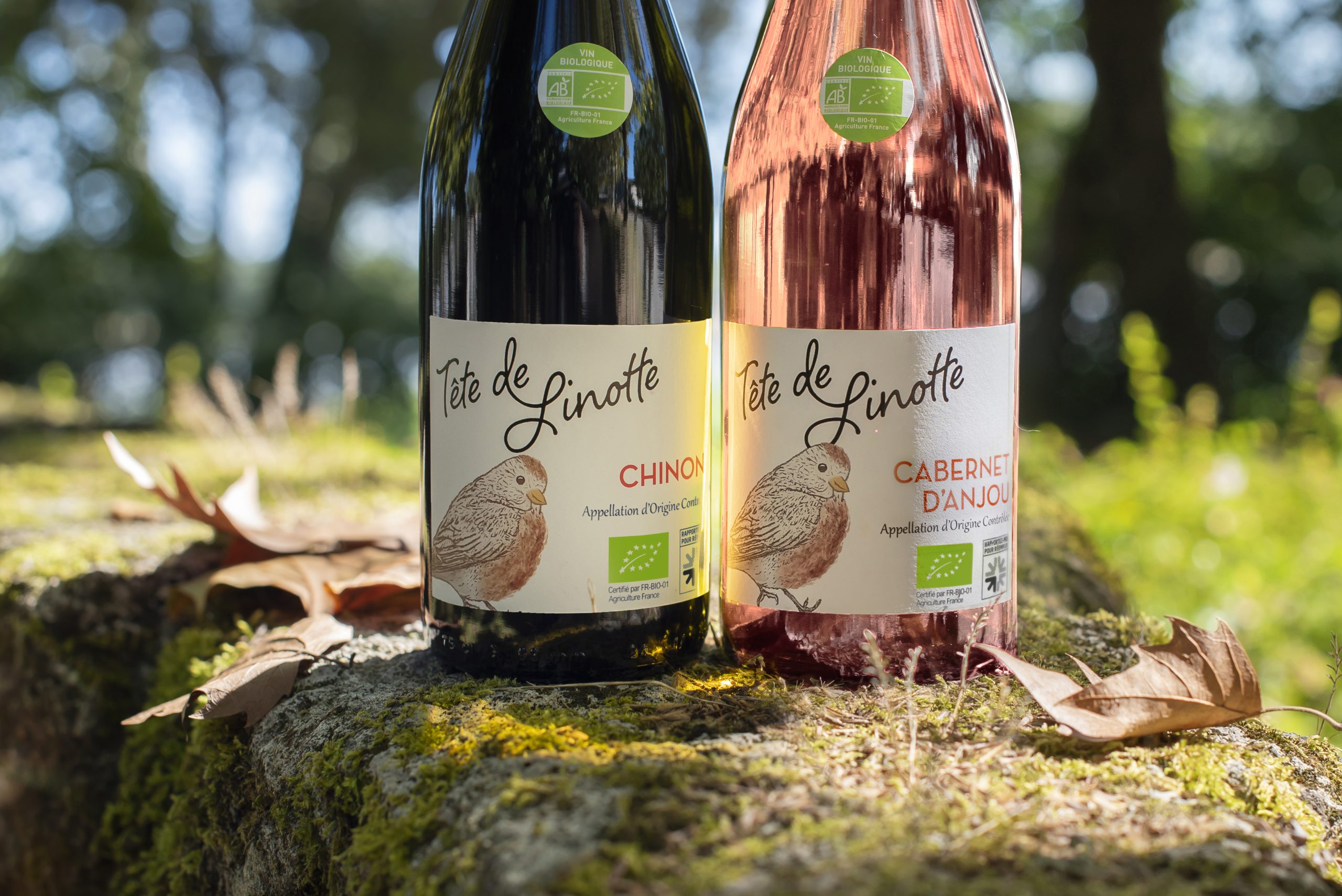 Tête de Linotte Cabernet d'Anjou Chinon